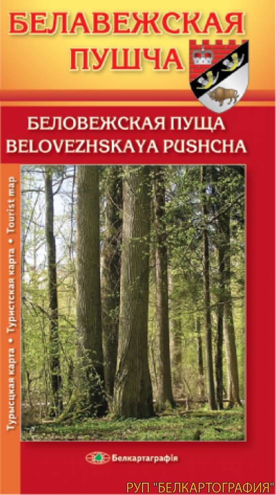 БЕЛОВЕЖСКАЯ ПУЩА